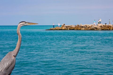 Tiny photo for 288 Soliera Street, Nokomis, FL 34275 (MLS # N6140477)