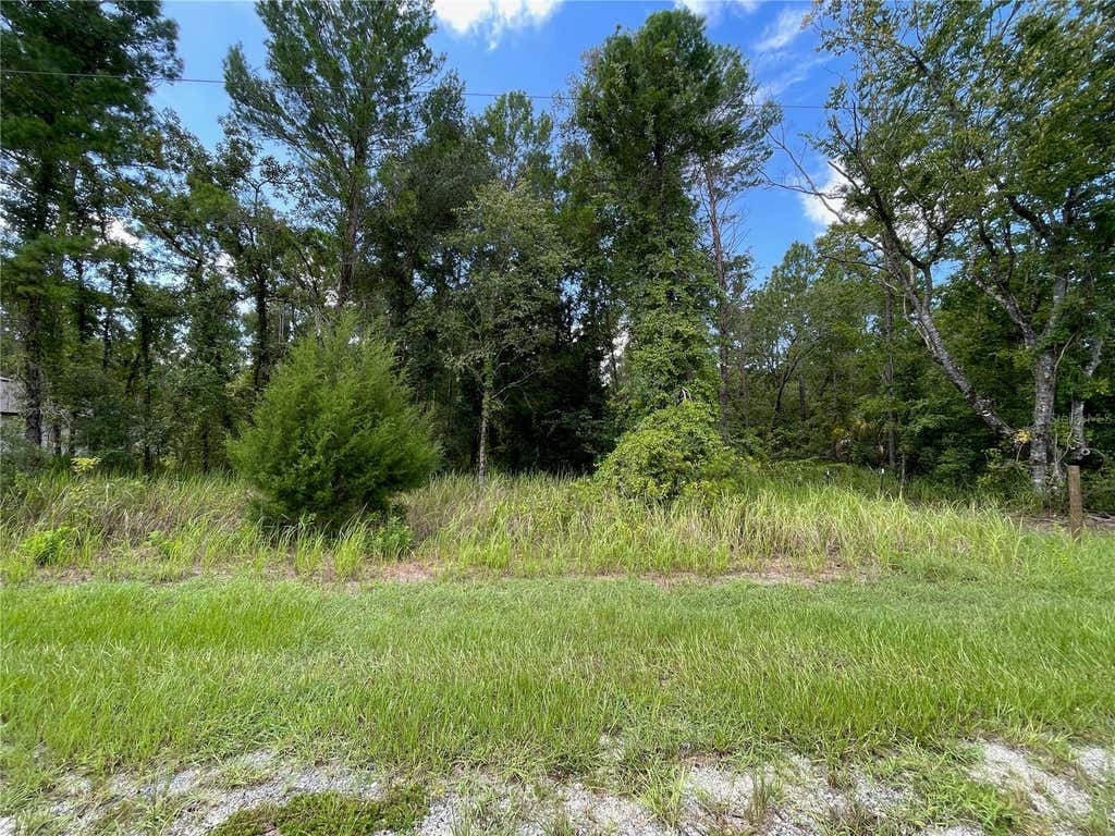 Photo of 0 Thrasher Avenue, Weeki Wachee, FL 34614 (MLS # W7888415)