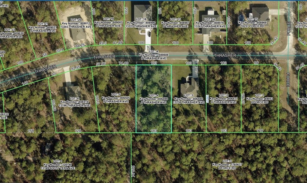 Photo of 0 Thrasher Avenue, Weeki Wachee, FL 34614 (MLS # W7888415)