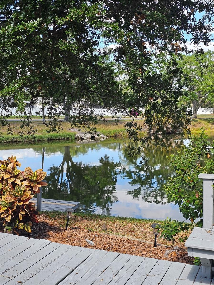 CLUBHOUSE ESTATES OF COUNTRYSIDE - Residential Lease