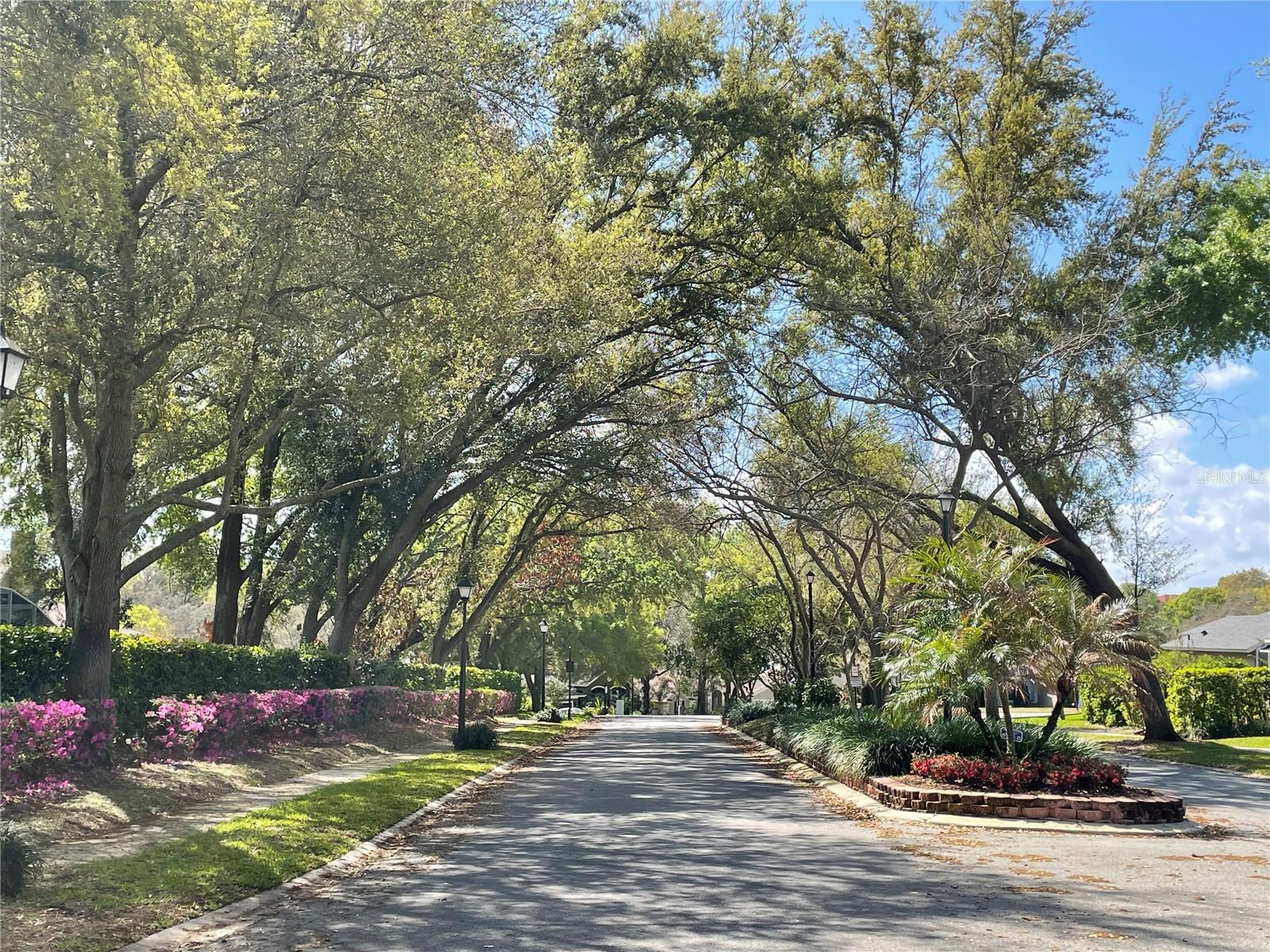 HAMMOCKS - Residential