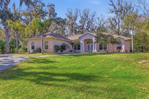 Tiny photo for 19040 NW 88th Avenue Road, Reddick, FL 32686 (MLS # OM708126)