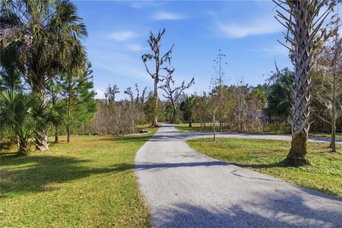 Tiny photo for 19040 NW 88th Avenue Road, Reddick, FL 32686 (MLS # OM708126)
