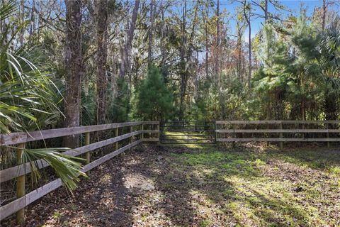 Tiny photo for 19040 NW 88th Avenue Road, Reddick, FL 32686 (MLS # OM708126)