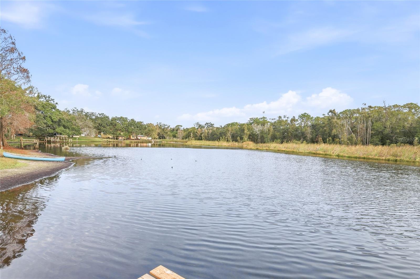 TAMPAS NORTH SIDE CNTRY CL - Residential