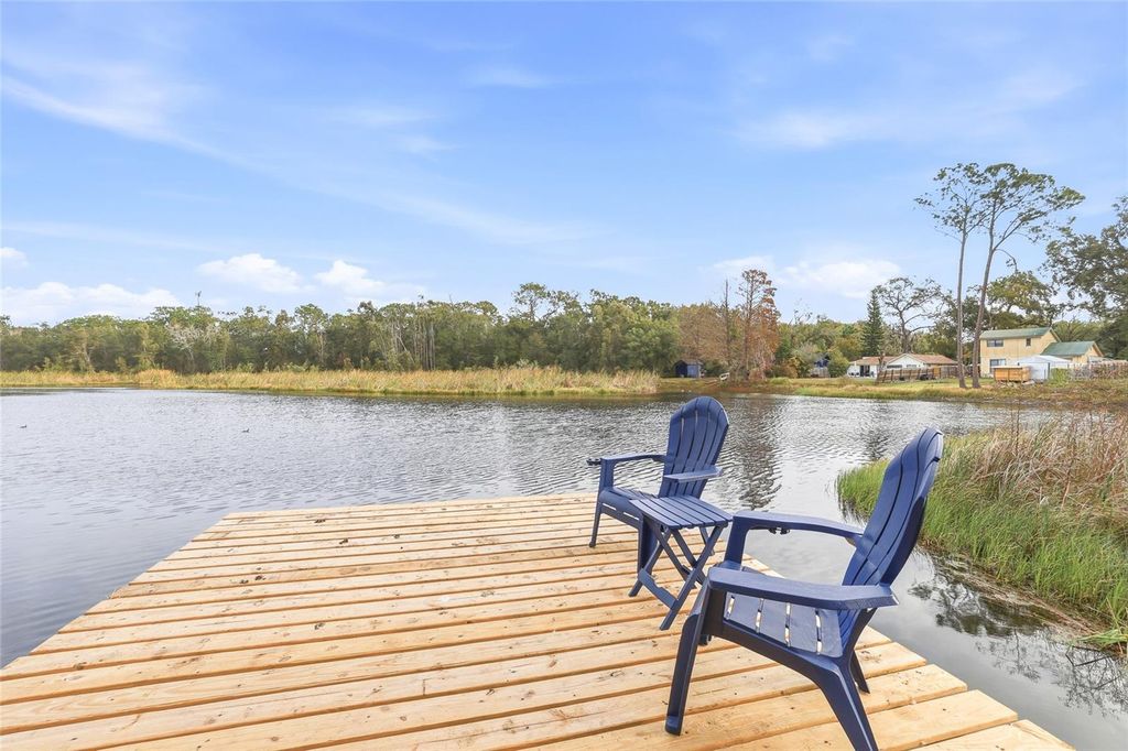 Photo of 1005 Cedar Lake Drive, Tampa, FL 33612 (MLS # TB8463835)