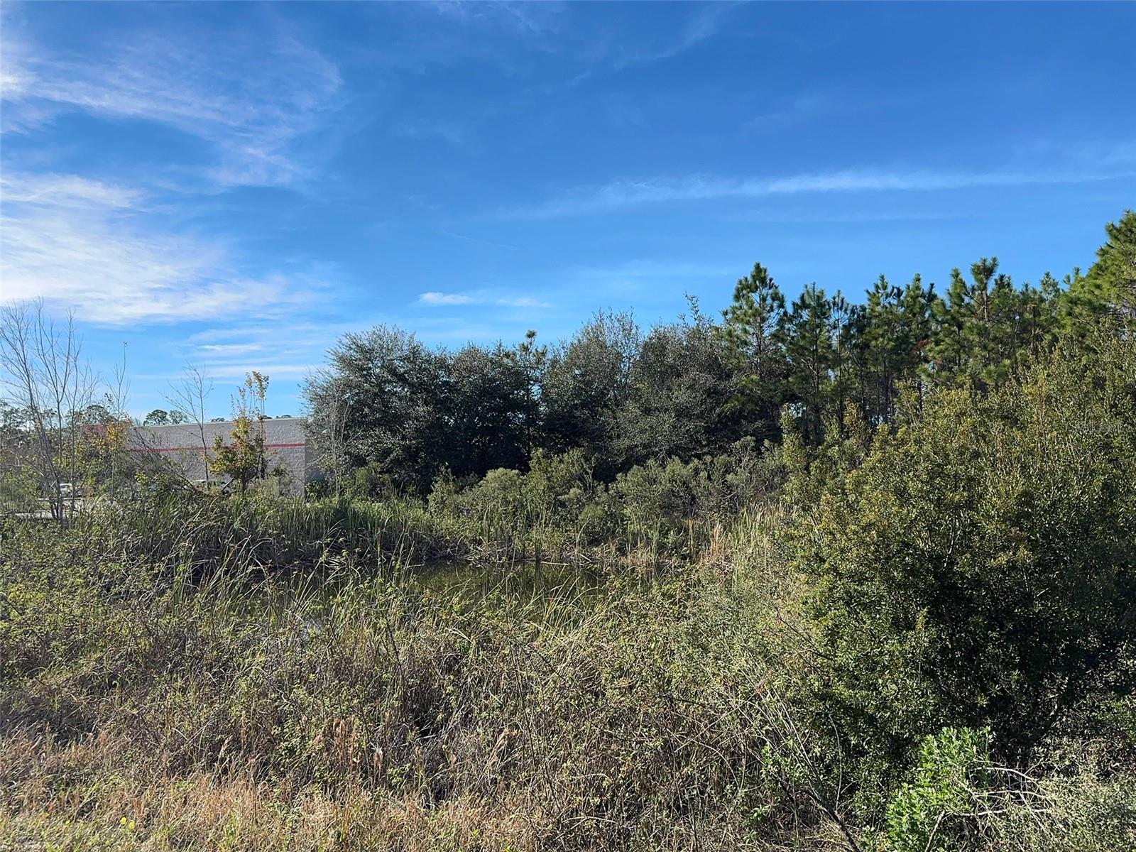 TOWN/BUNNELL - Land