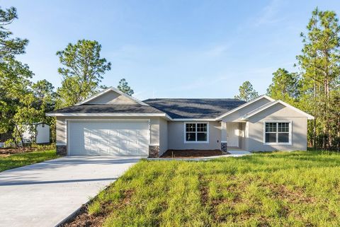 Photo of 8458 N Tempest Drive, Citrus Springs, FL 34434 (MLS # OM718205)