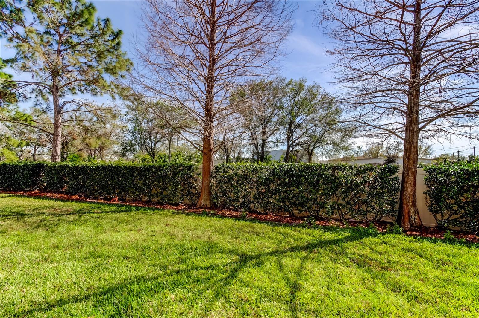 SAWGRASS VILLAGE - Residential