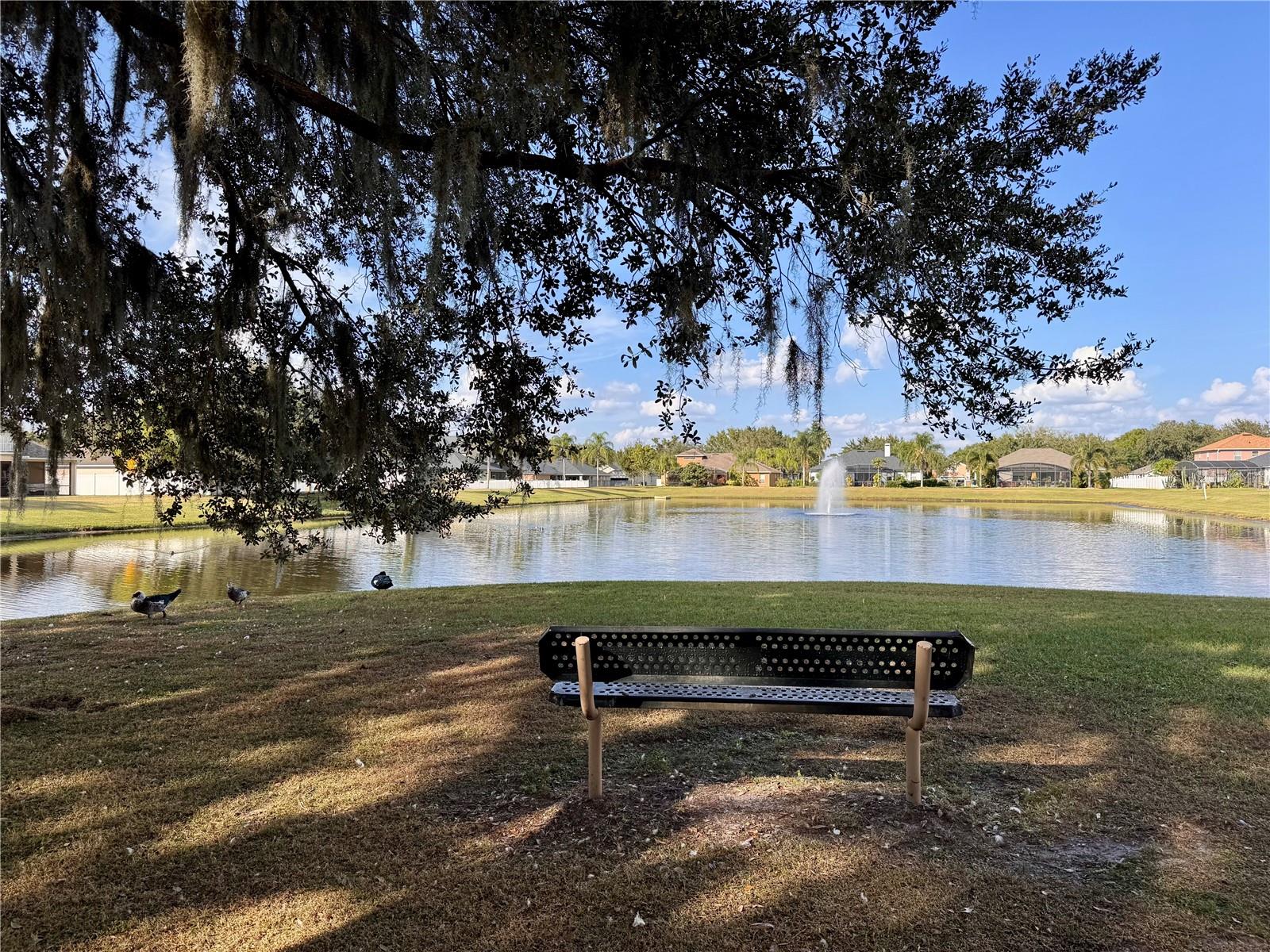 EAST LAKE COVE PH 1 - Residential