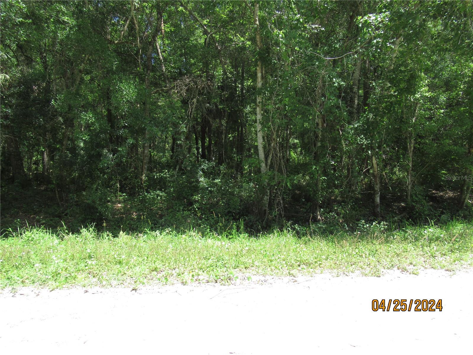 1572 GUAVA LANE