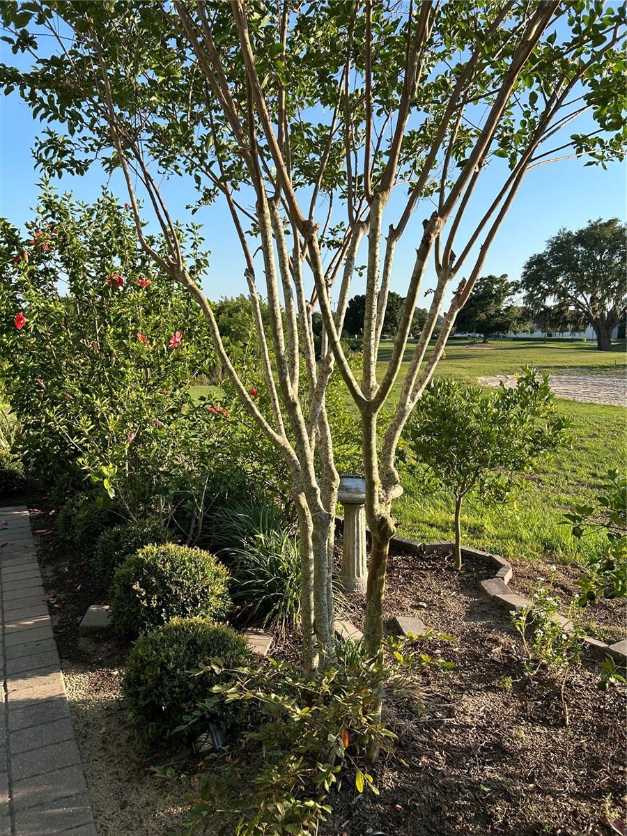 FOUR SEASONS AT ORLANDO PB 3B & 4A - Residential