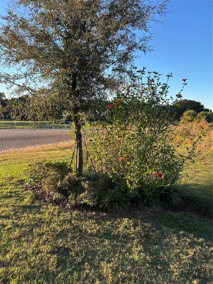 FOUR SEASONS AT ORLANDO PB 3B & 4A - Residential