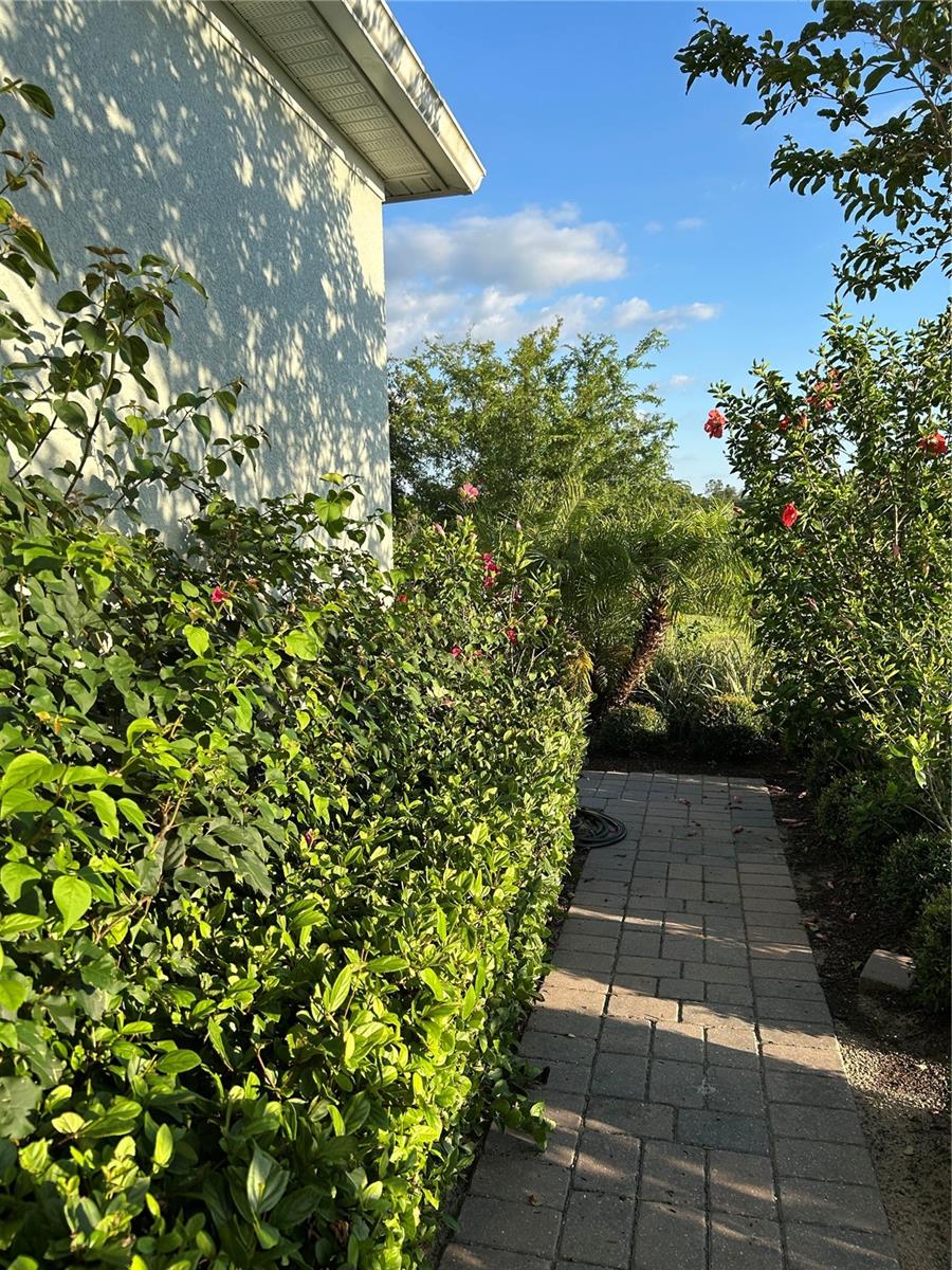 FOUR SEASONS AT ORLANDO PB 3B & 4A - Residential