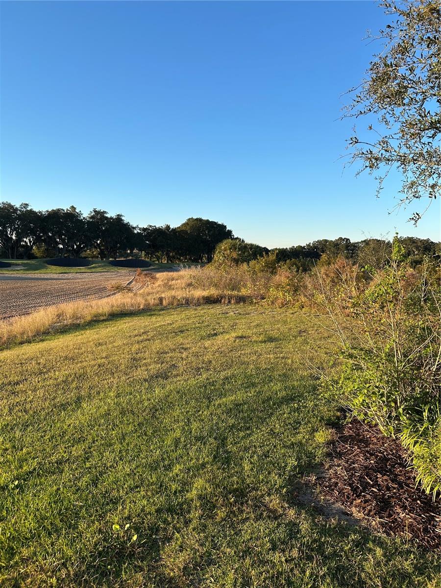 FOUR SEASONS AT ORLANDO PB 3B & 4A - Residential