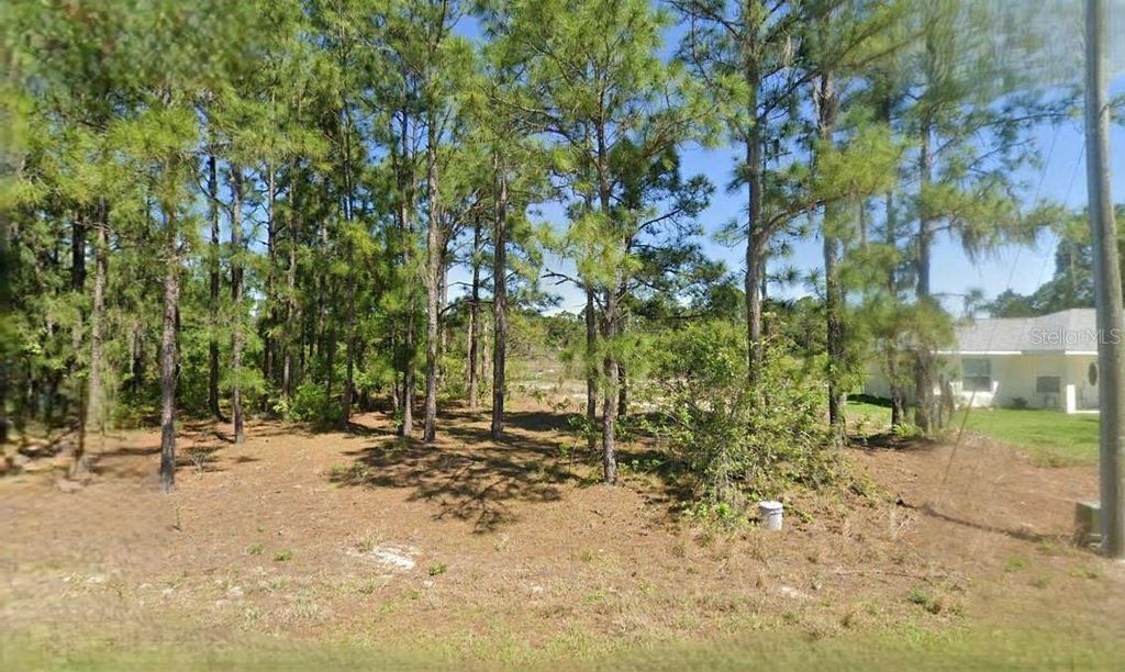 Photo of 651 Lynn Drive, Lake Placid, FL 33852 (MLS # O6310566)