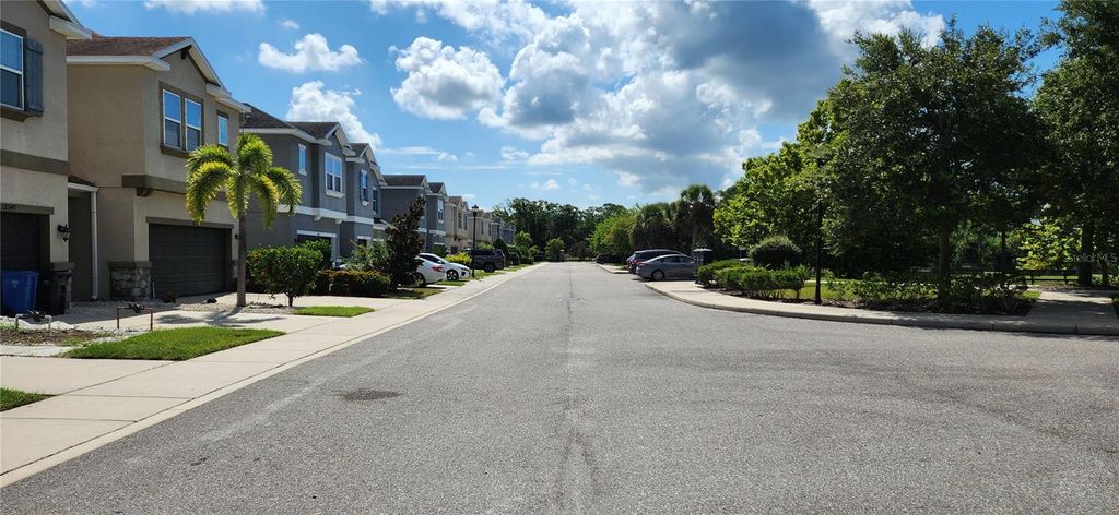 Photo of 12355 Bayou Flats Lane, Tampa, FL 33635 (MLS # TB8415146)