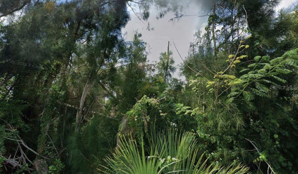 Photo of 30353 Holly Road, Punta Gorda, FL 33982 (MLS # O6278536)