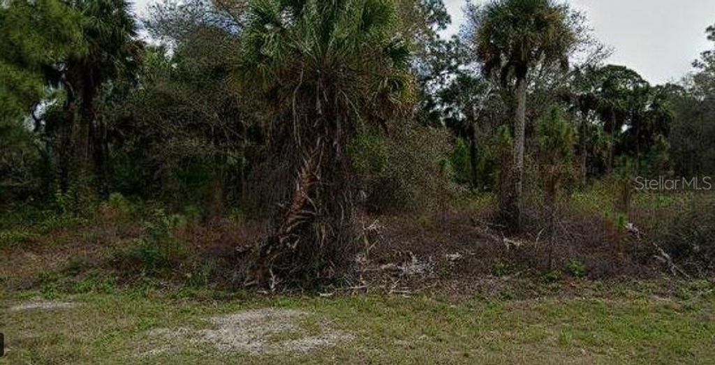 Photo of 256 Ravenswood Boulevard, Port Charlotte, FL 33954 (MLS # A4667178)