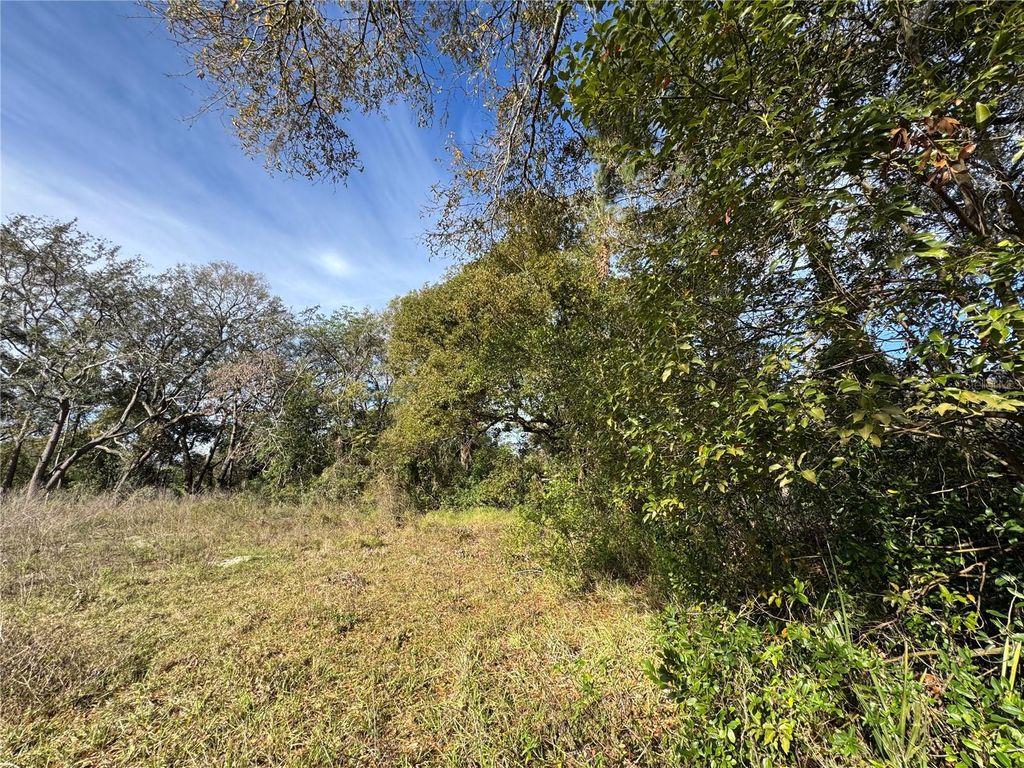 Photo of 4939 Clarcona Ocoee Road, Orlando, FL 32810 (MLS # O6379698)