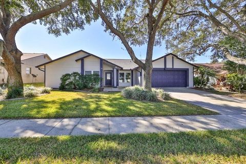 A home in VALRICO