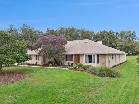 Photo of 4207 Willow Park Drive, Orlando, FL 32835 (MLS # O6348550)