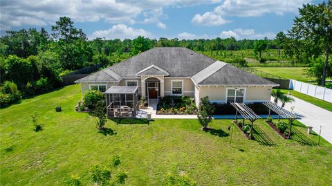 A home in ORLANDO