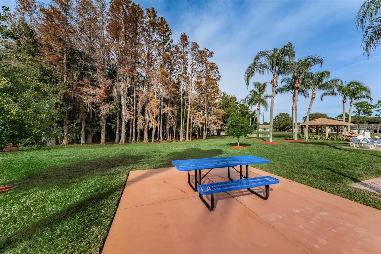 HERITAGE LAKE - Residential