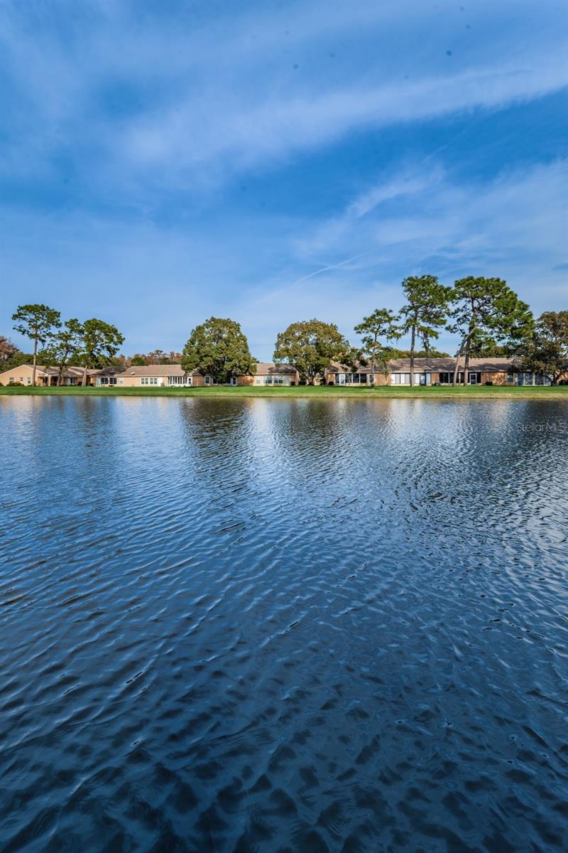 HERITAGE LAKE - Residential