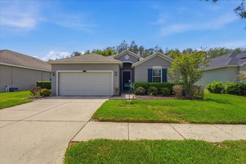 3839 GRECKO DRIVE WESLEY CHAPEL FL 33543