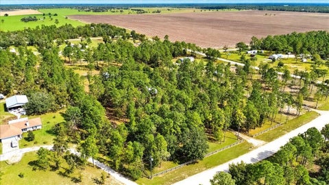 Tiny photo for 12931 SE 21st Place, Morriston, FL 32668 (MLS # GC544296)