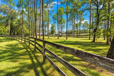 Tiny photo for 12931 SE 21st Place, Morriston, FL 32668 (MLS # GC544296)
