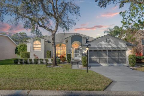 A home in SPRING HILL