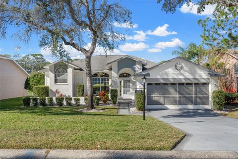 A home in SPRING HILL