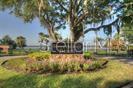 SWEETWATER OAKS - Residential