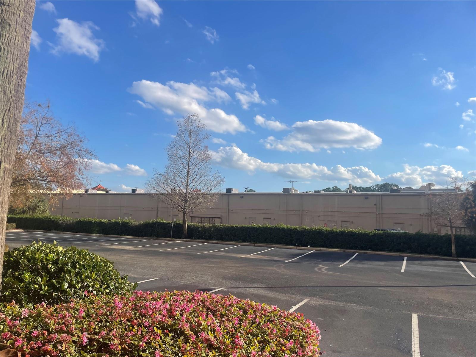 LAKE BUENA VISTA RESORT - Residential