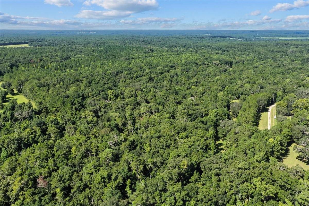 MILL CREEK ESTATES - Land