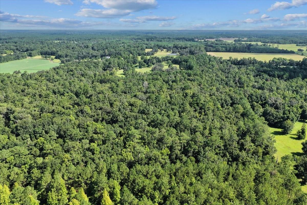 MILL CREEK ESTATES - Land