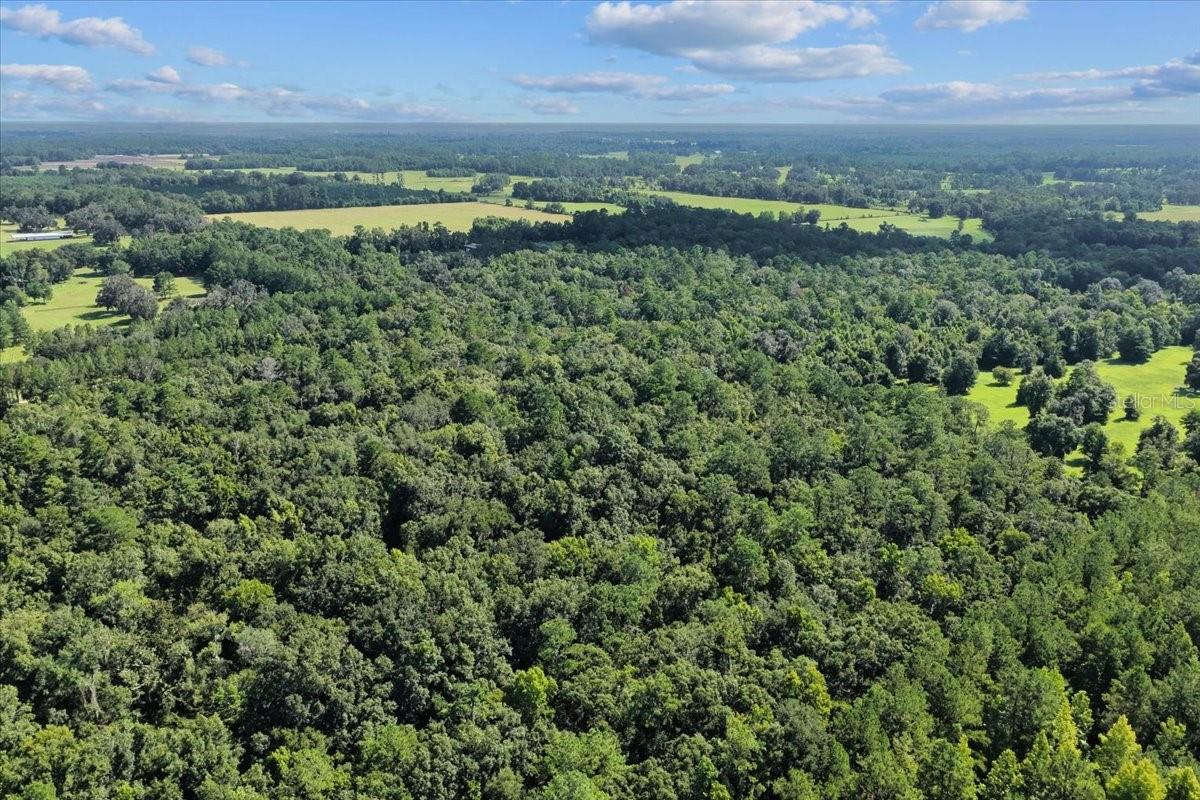 MILL CREEK ESTATES - Land