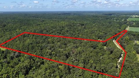 NW 218TH LANE ALACHUA FL 32615