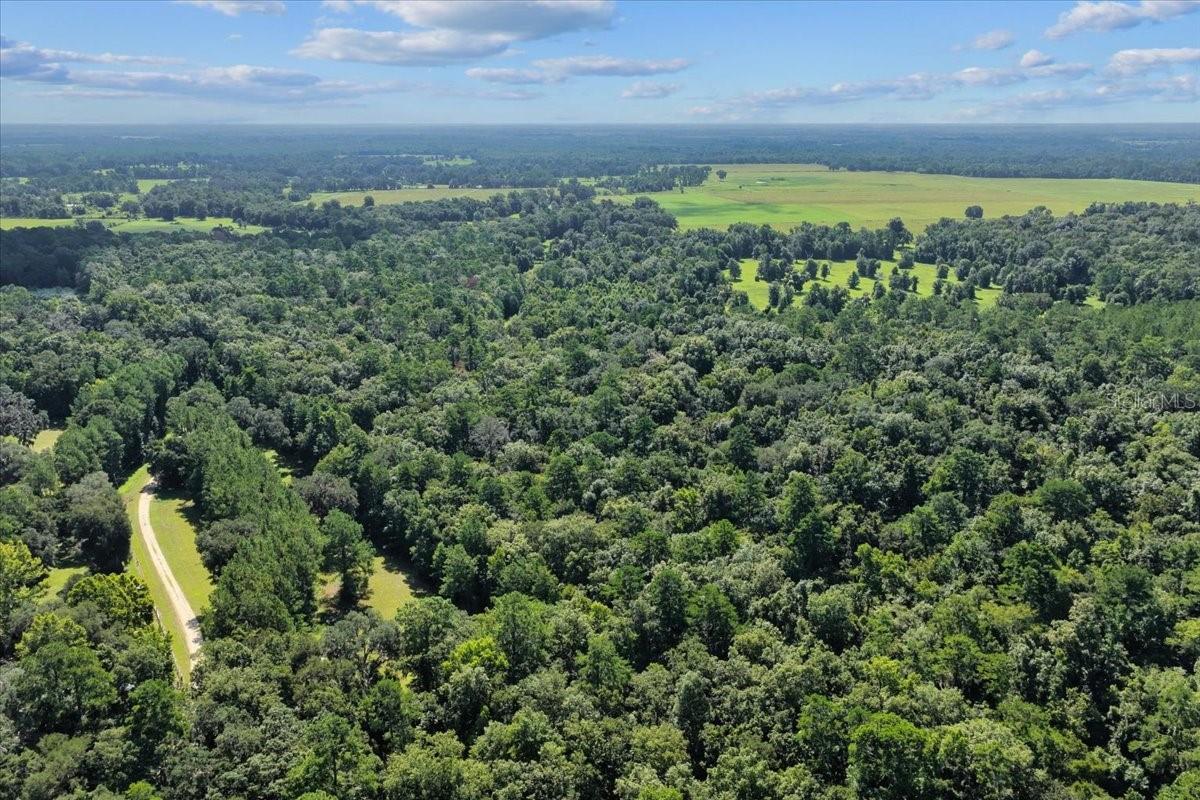 MILL CREEK ESTATES - Land