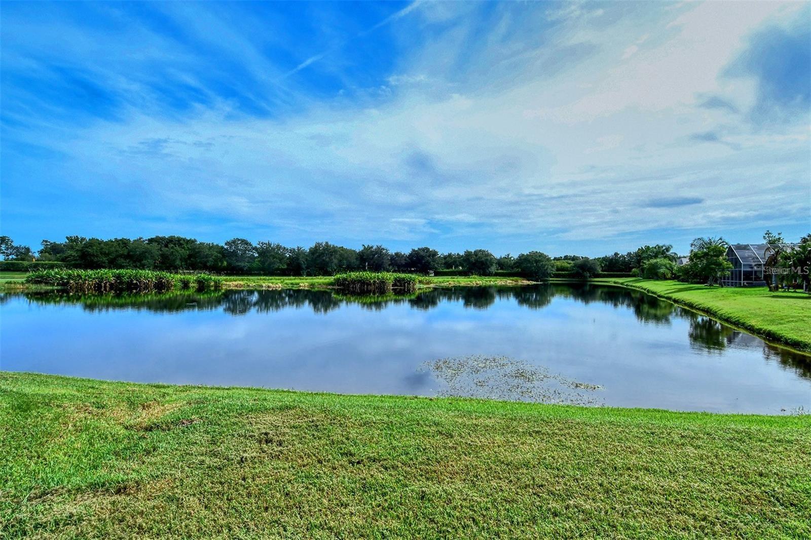 CHAPARRAL SUB II PH 2&3 - Residential Lease
