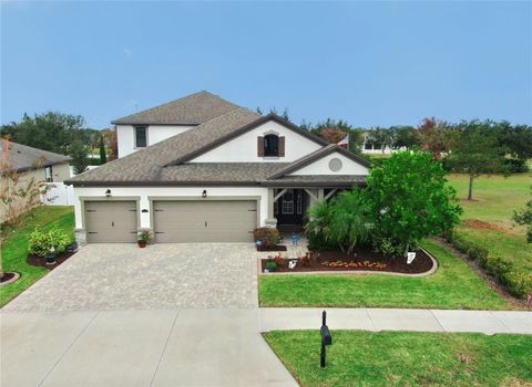 A home in RIVERVIEW