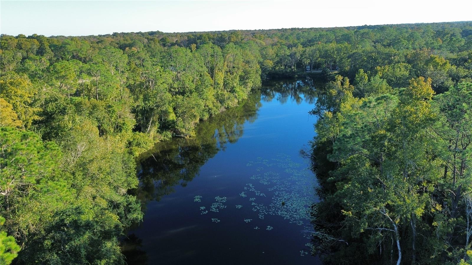 LAKE PADGETT PINES - Land