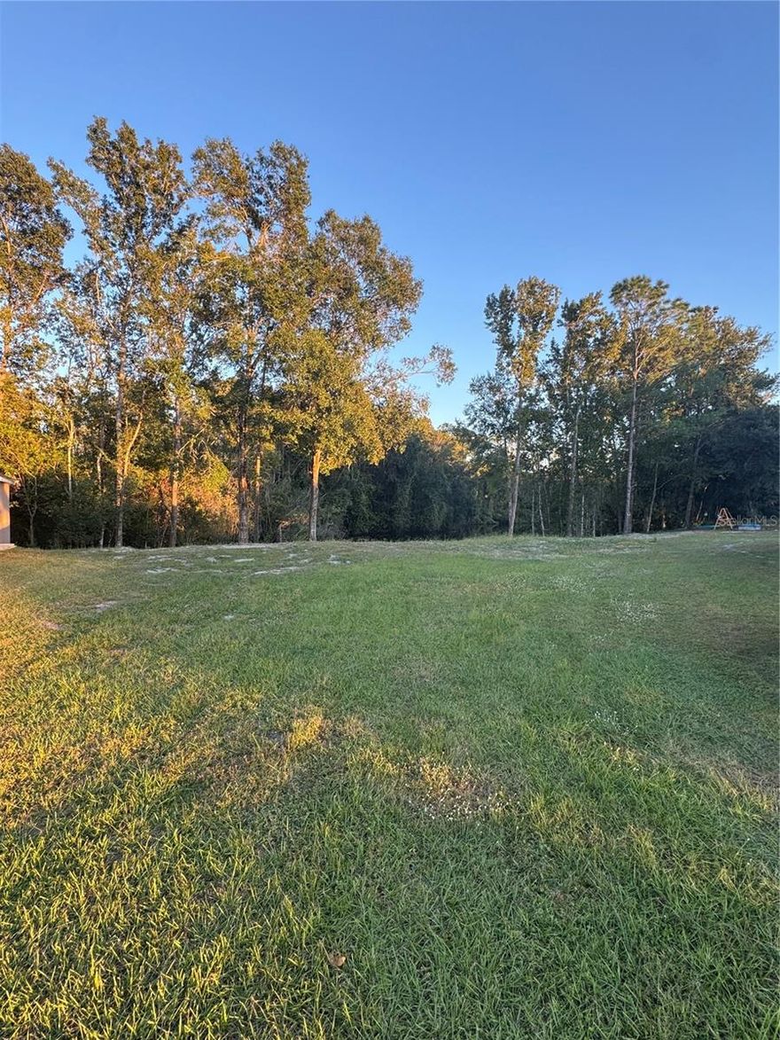 Build your dream home in the desirable Lake Padgett Pines community! This beautiful .30-acre pie-shaped lot offers plenty of space and privacy. Enjoy peaceful mornings and stunning sunsets with your own serene water view, creating the ideal backdrop for your future home. With no rear neighbors and a tranquil natural setting, this property provides both beauty and relaxation. Don’t miss this rare opportunity to own a piece of paradise, conveniently located in the heart of Land O’ Lakes, just minutes from shopping, dining, schools, and major highways.