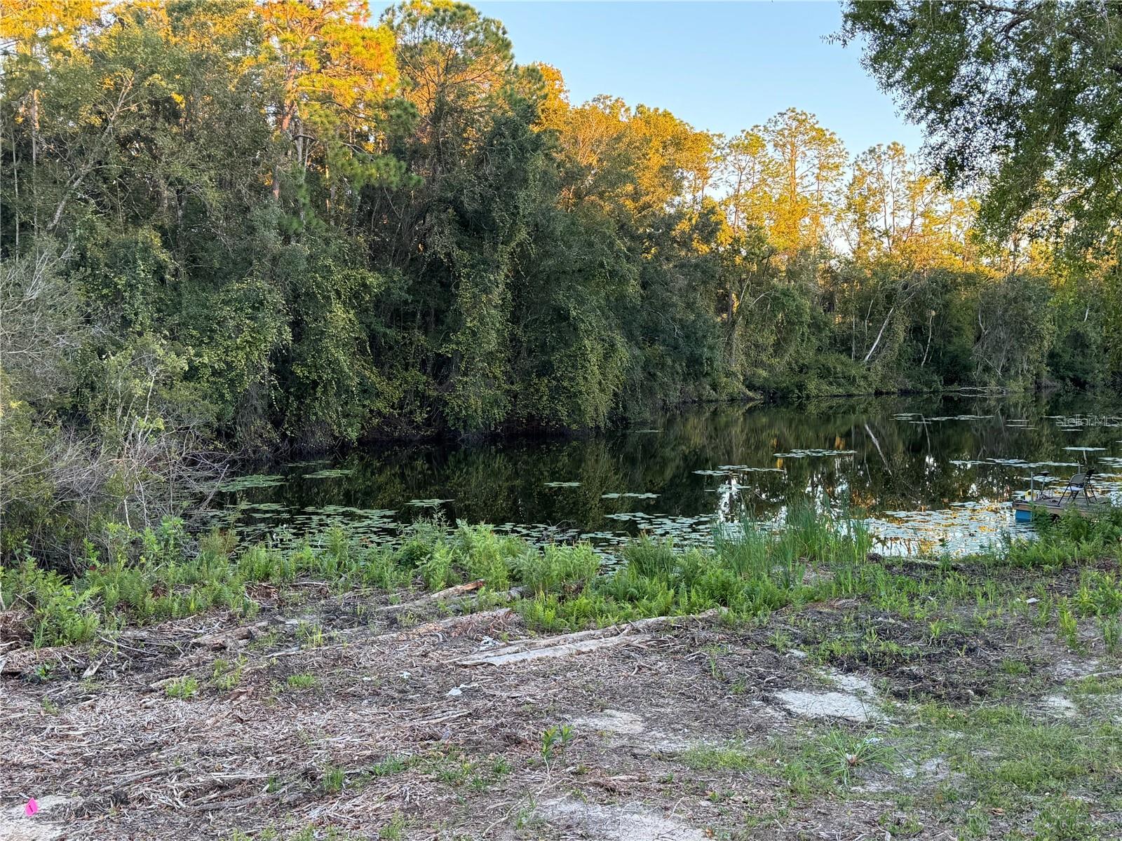 LAKE PADGETT PINES - Land