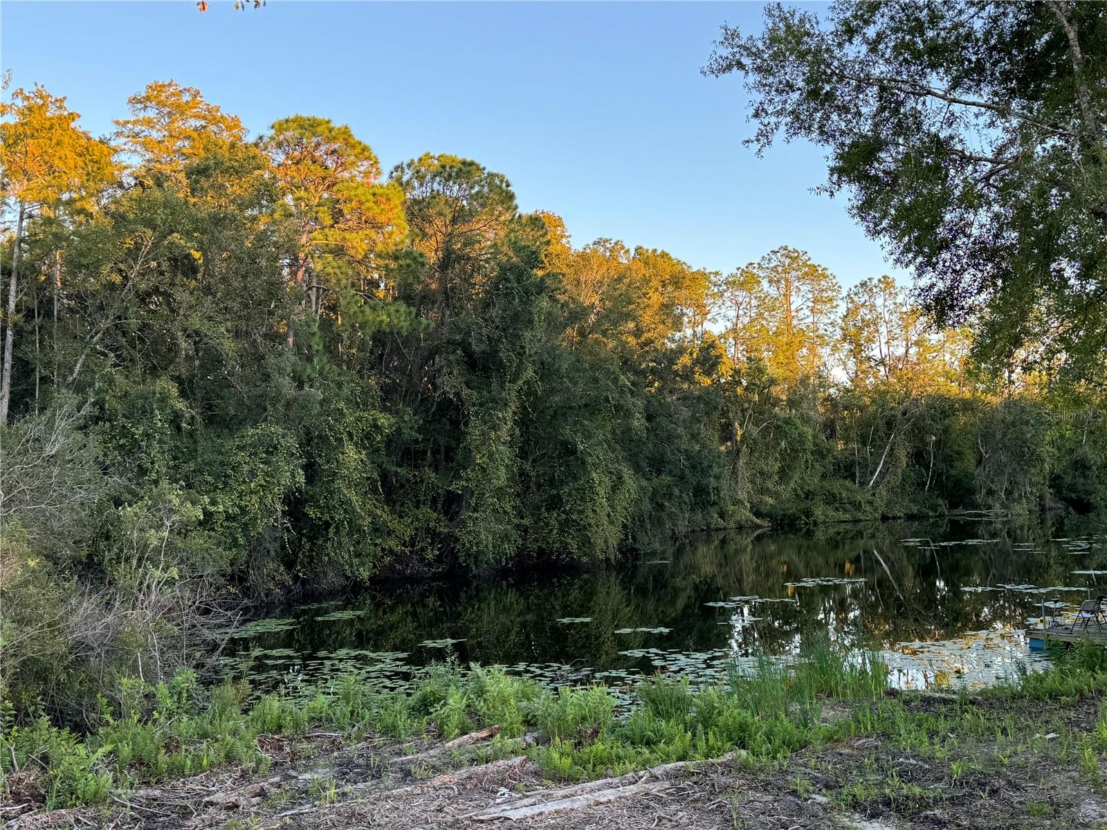 LAKE PADGETT PINES - Land