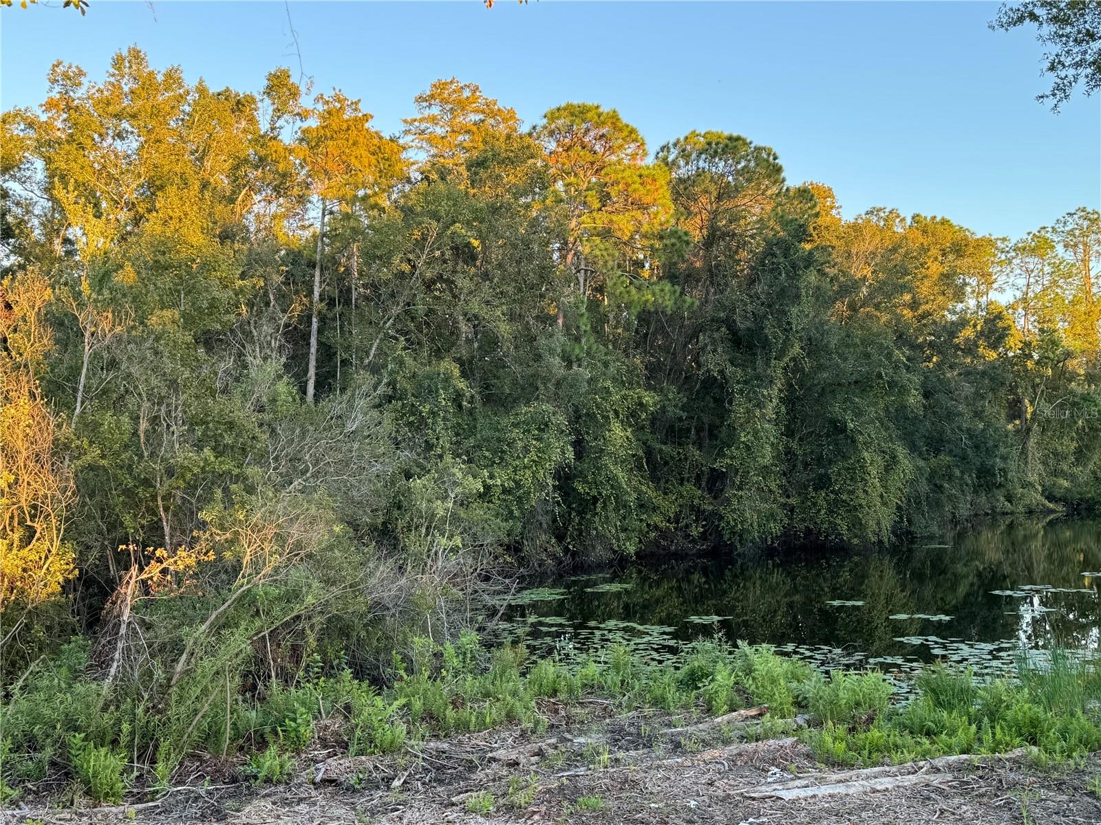 LAKE PADGETT PINES - Land