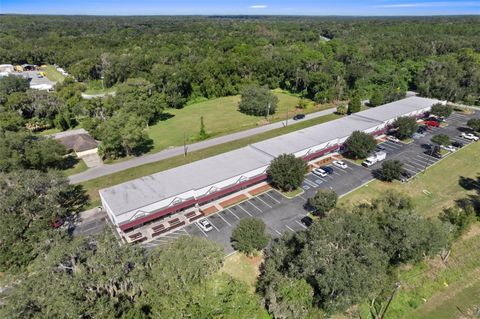 Tiny photo for 3451 E Louise Lane, Hernando, FL 34442 (MLS # OM713993)
