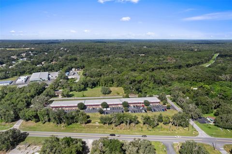 Tiny photo for 3451 E Louise Lane, Hernando, FL 34442 (MLS # OM713993)
